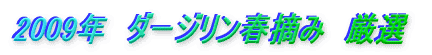 2009年 ダージリン春摘み 厳選